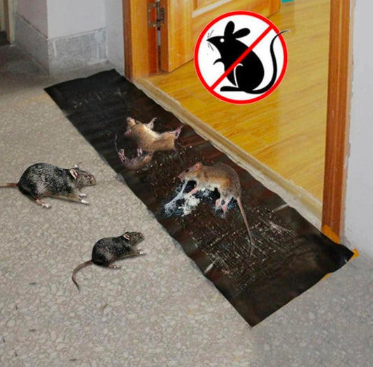 Effective Rat Killer Glue Mat,